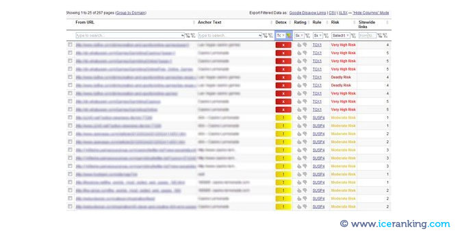 linkdetox report